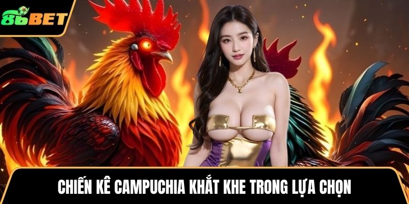 Chiến kê Campuchia khắt khe trong lựa chọn