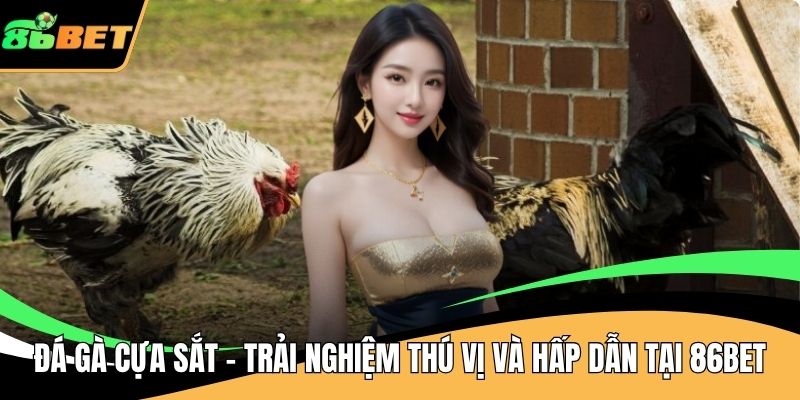 Đá gà cựa sắt