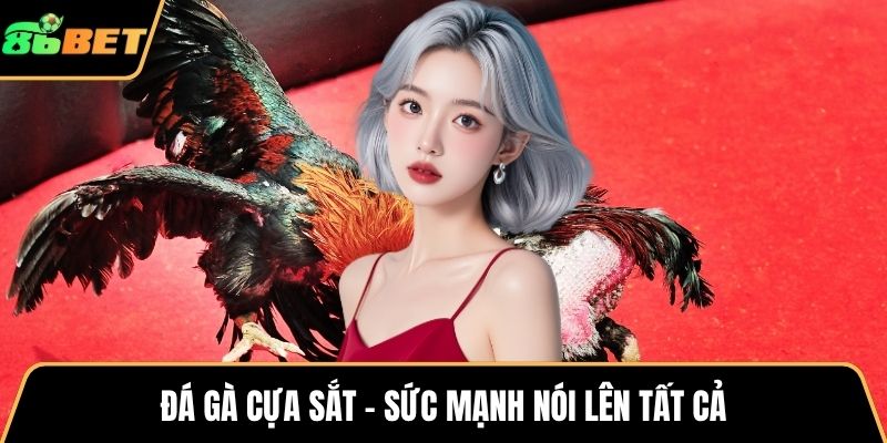 Đá gà cựa sắt - Sức mạnh nói lên tất cả