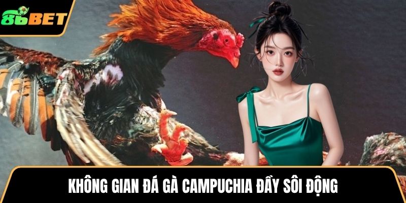 Không gian đá gà Campuchia đầy sôi động