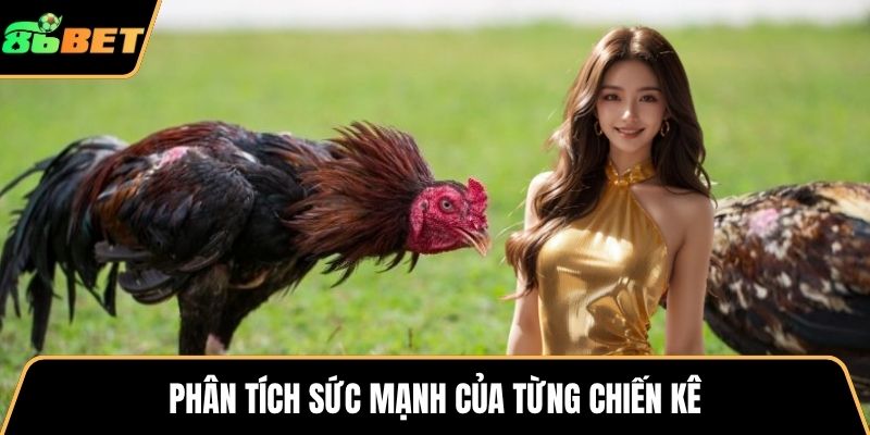 Phân tích sức mạnh của từng chiến kê