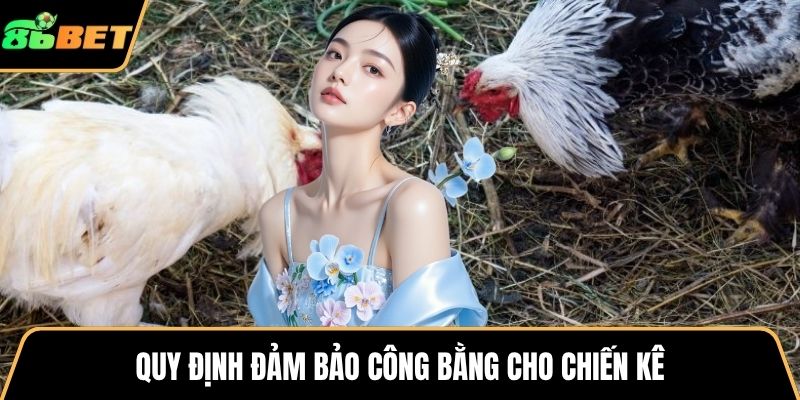 Quy định đảm bảo công bằng cho chiến kê
