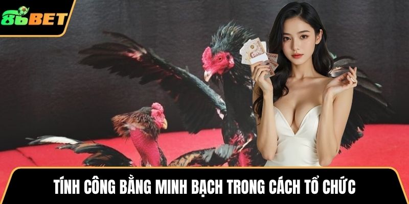 Tính công bằng minh bạch trong cách tổ chức