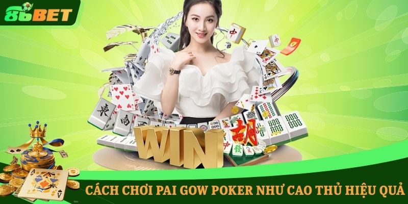 Cách chơi Pai Gow Poker như cao thủ hiệu quả
